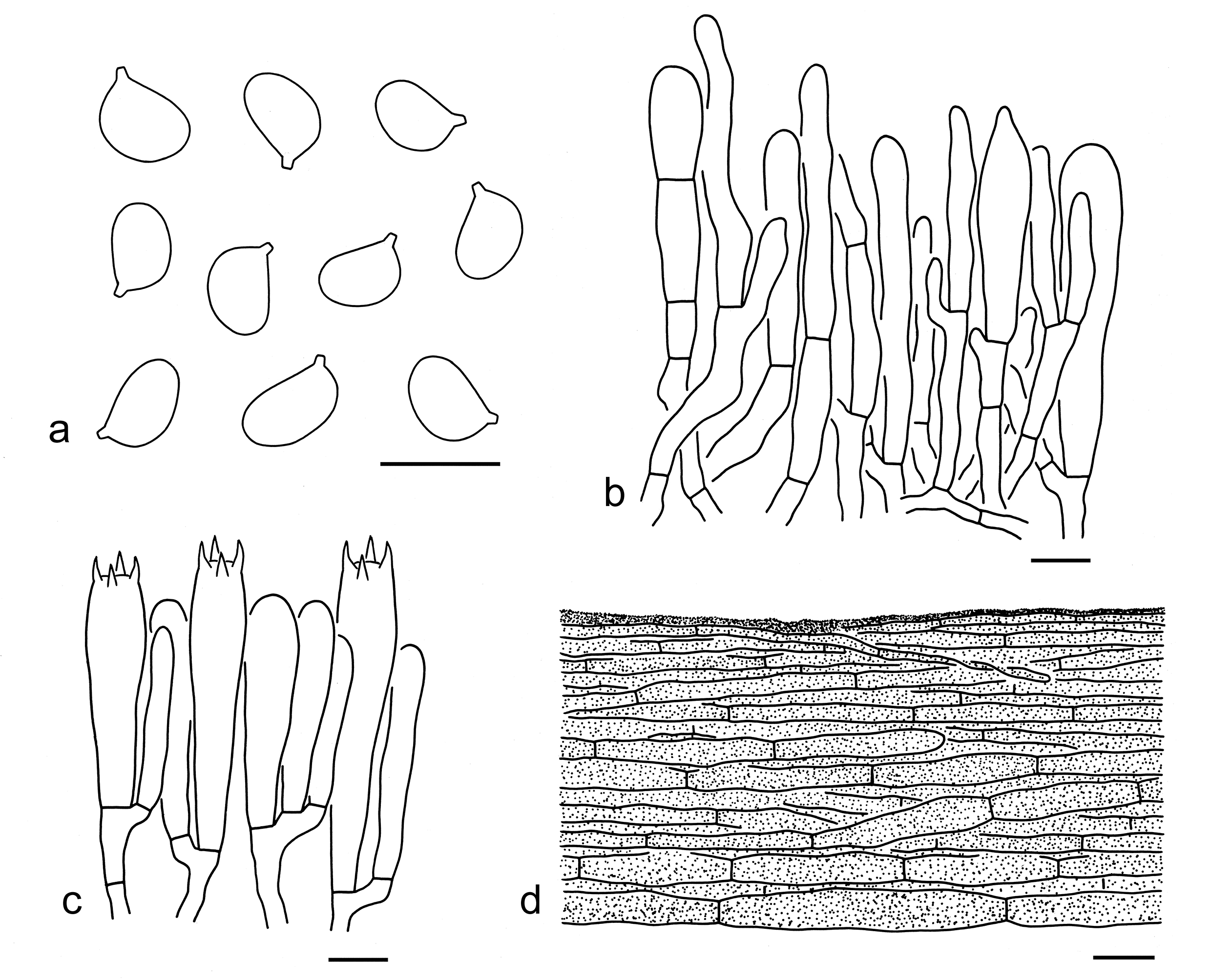 Figure 100